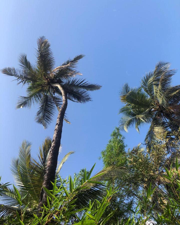 果阿别墅度假村 贝托贝提姆 外观 照片